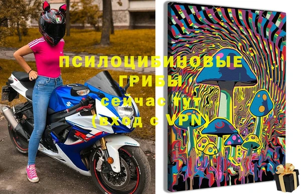 метадон Арсеньев