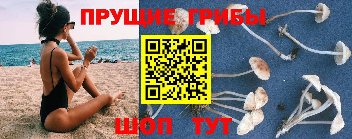 Псилоцибиновые грибы прущие грибы  Псилоцибиновые грибы прущие грибы  Кыштым  Вход с VPN 
